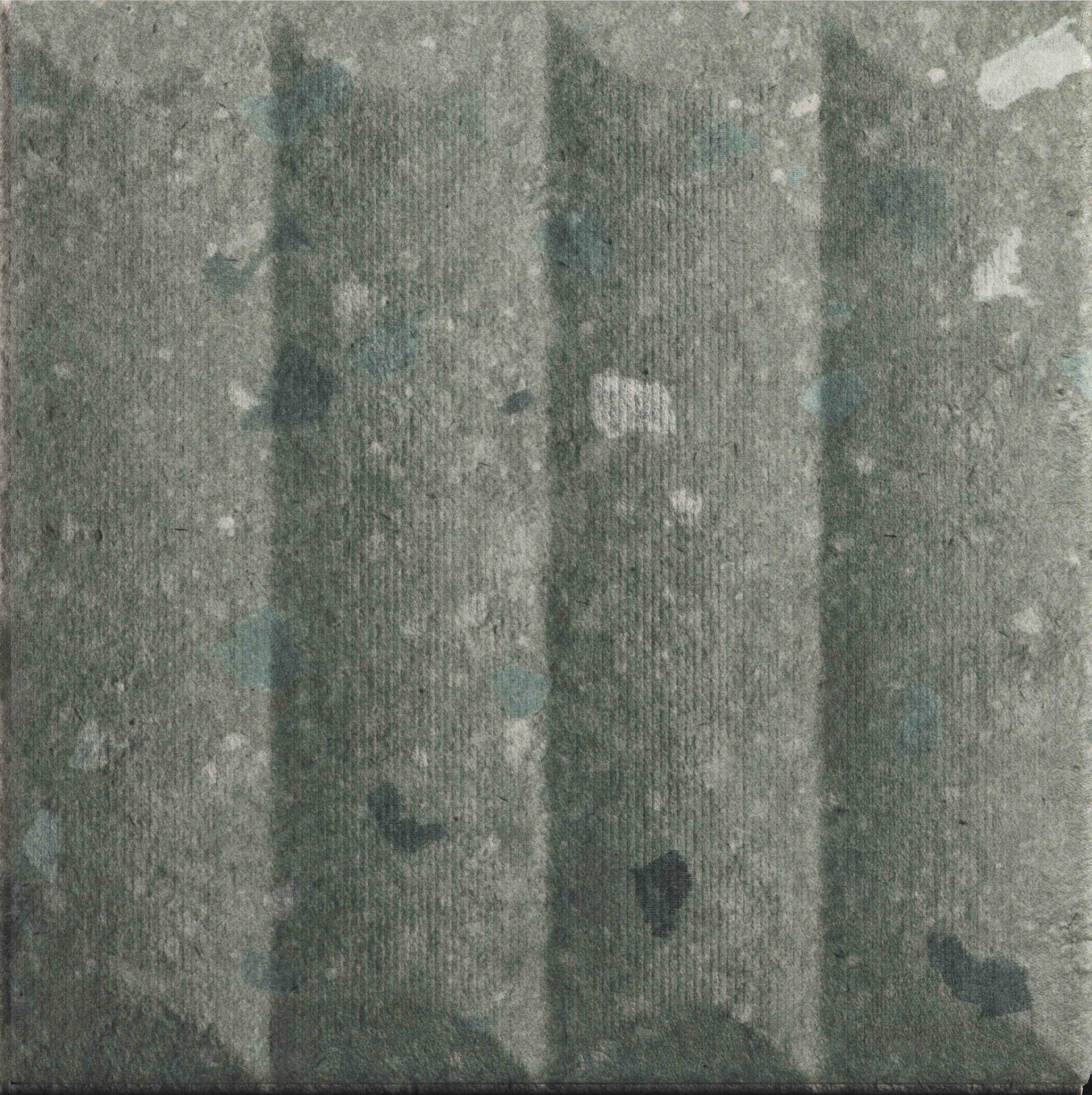 Petrea Lira Green 20x20