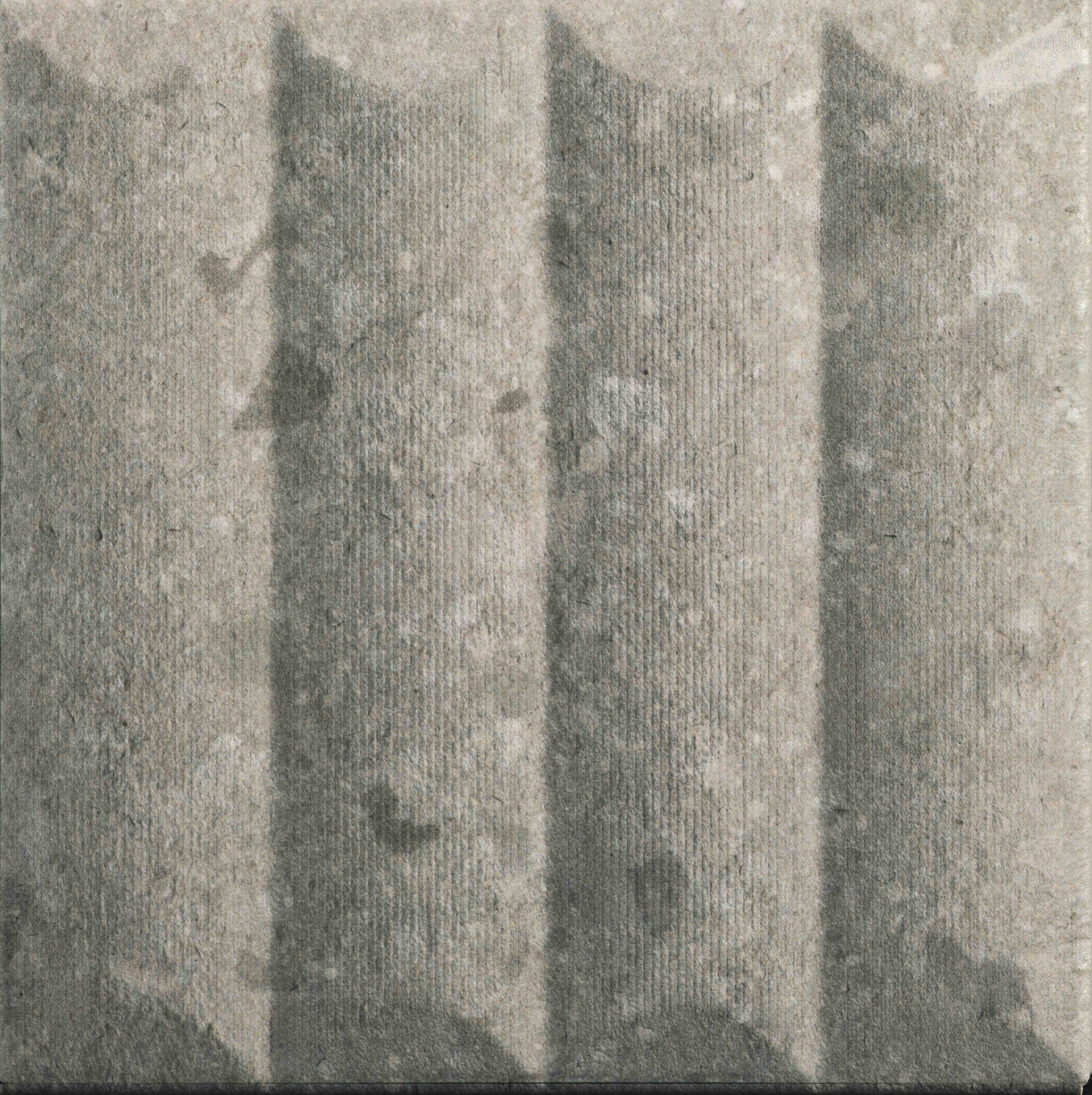 Petrea Lira White 20x20